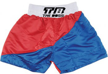 Kick Boxing Shorts